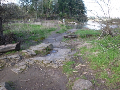 Many boulders across the path leading to the river